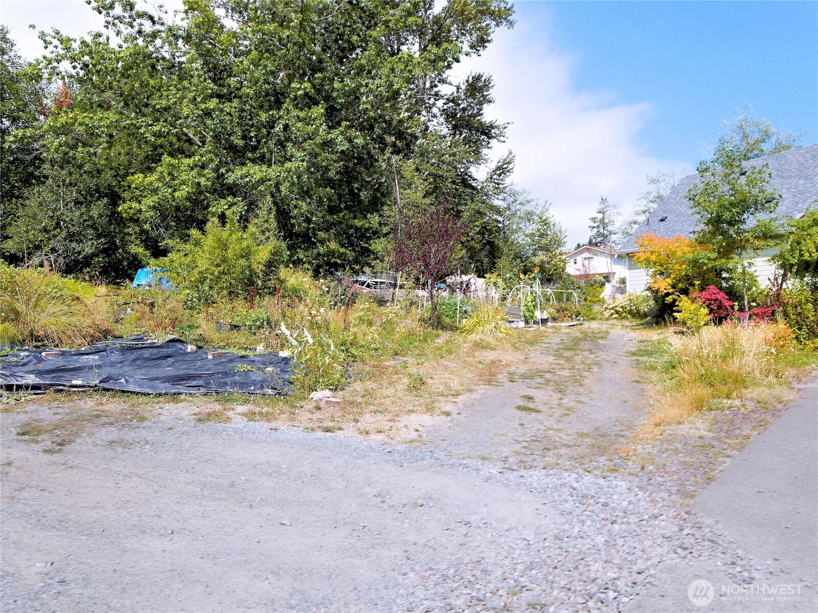 17204 Northup Way Bellevue, WA 98008 - Photo 15 of 30 a view of a yard with a tree