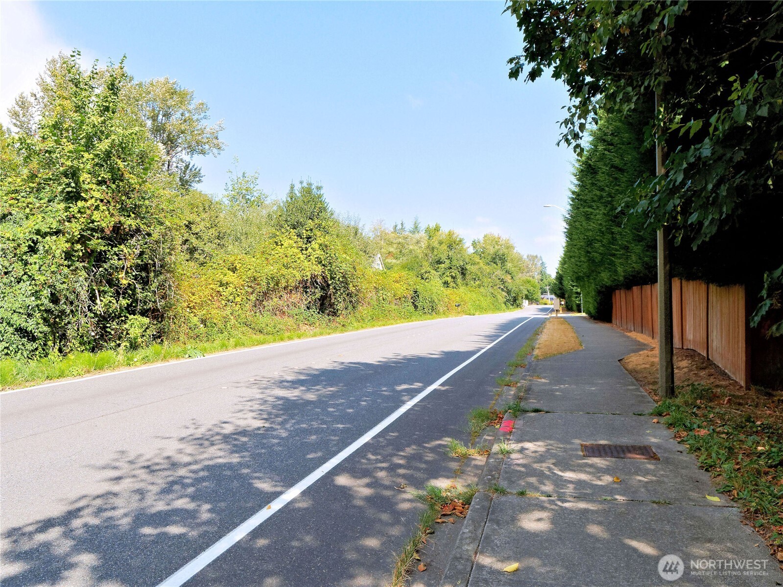 17204 Northup Way Bellevue, WA 98008 - Photo 19 of 30 a view of a street with a trees