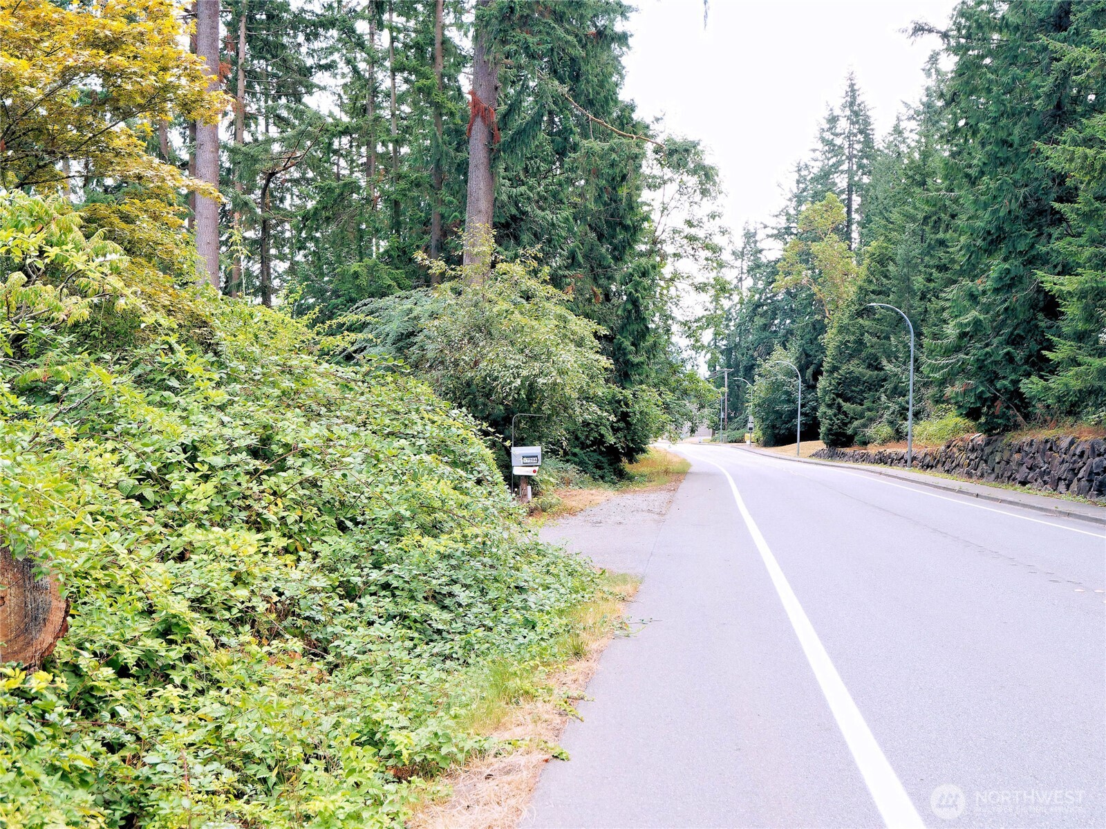 17204 Northup Way Bellevue, WA 98008 - Photo 20 of 30 a view of a pathway with a yard