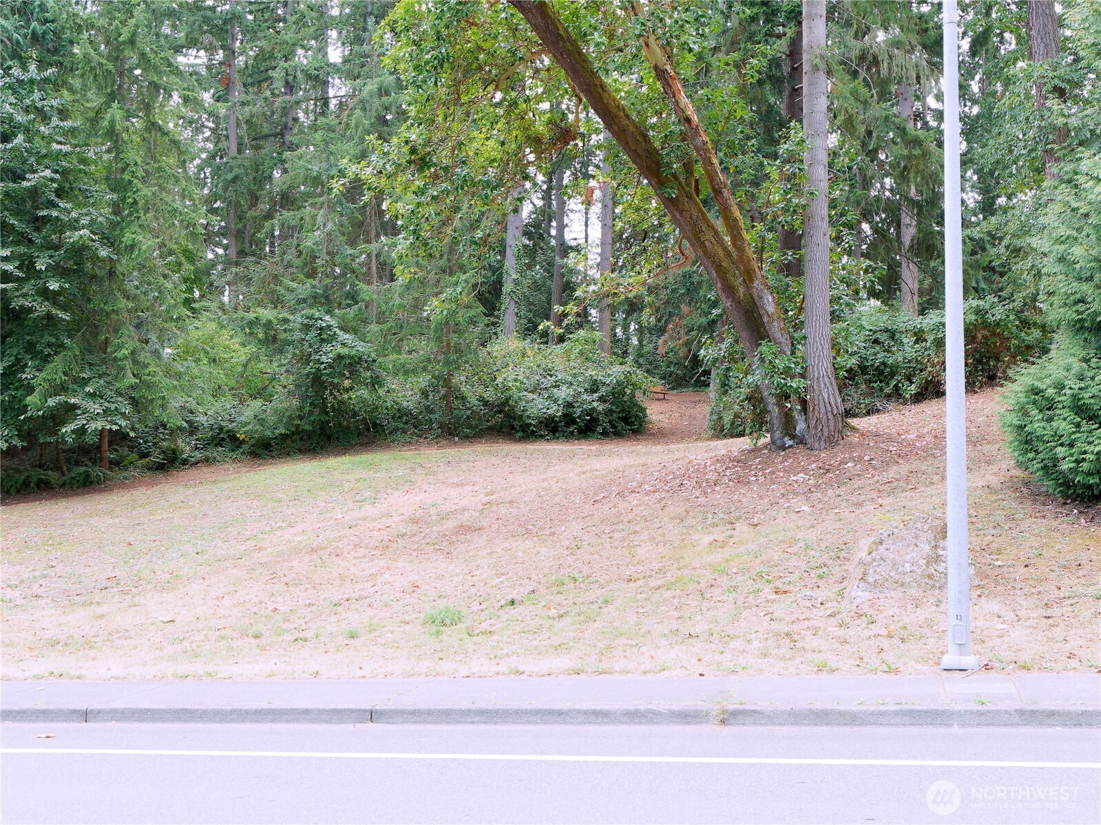 17204 Northup Way Bellevue, WA 98008 - Photo 21 of 30 a view of a yard with a tree