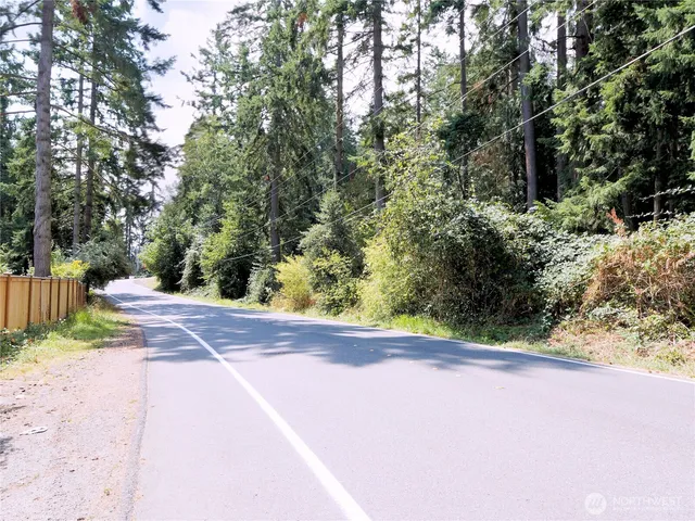 a view of a yard with potted plants and large trees