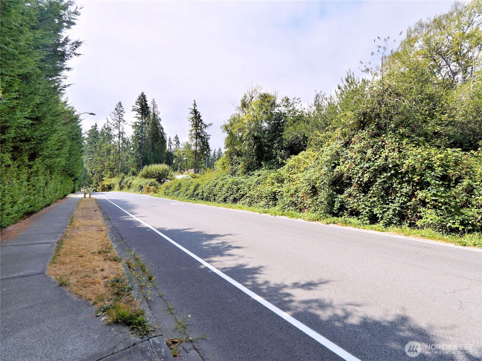 17204 Northup Way Bellevue, WA 98008 - Photo 23 of 30 a view of a road with a yard