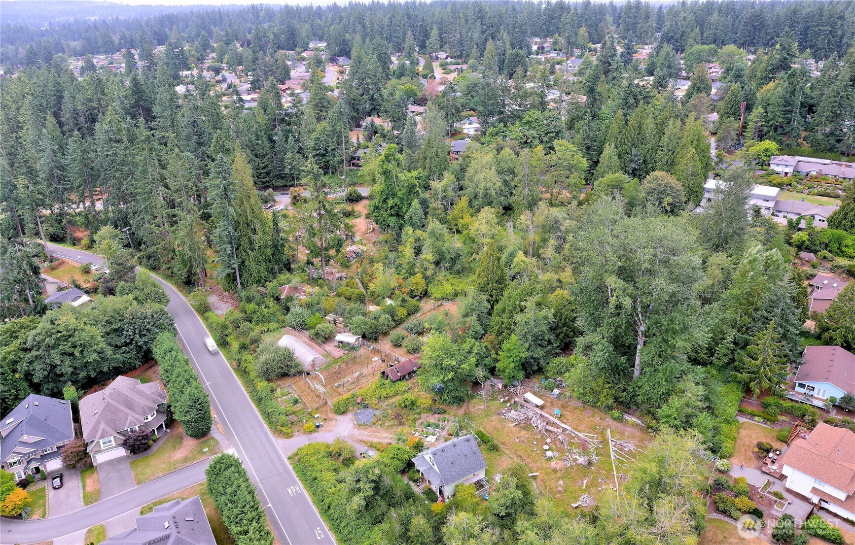 17204 Northup Way Bellevue, WA 98008 - Photo 25 of 30 an aerial view of residential houses with outdoor space and trees