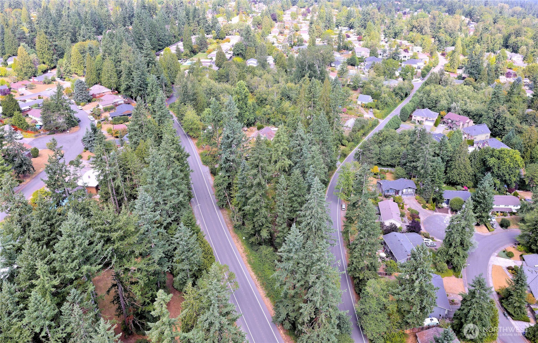 17204 Northup Way Bellevue, WA 98008 - Photo 29 of 30