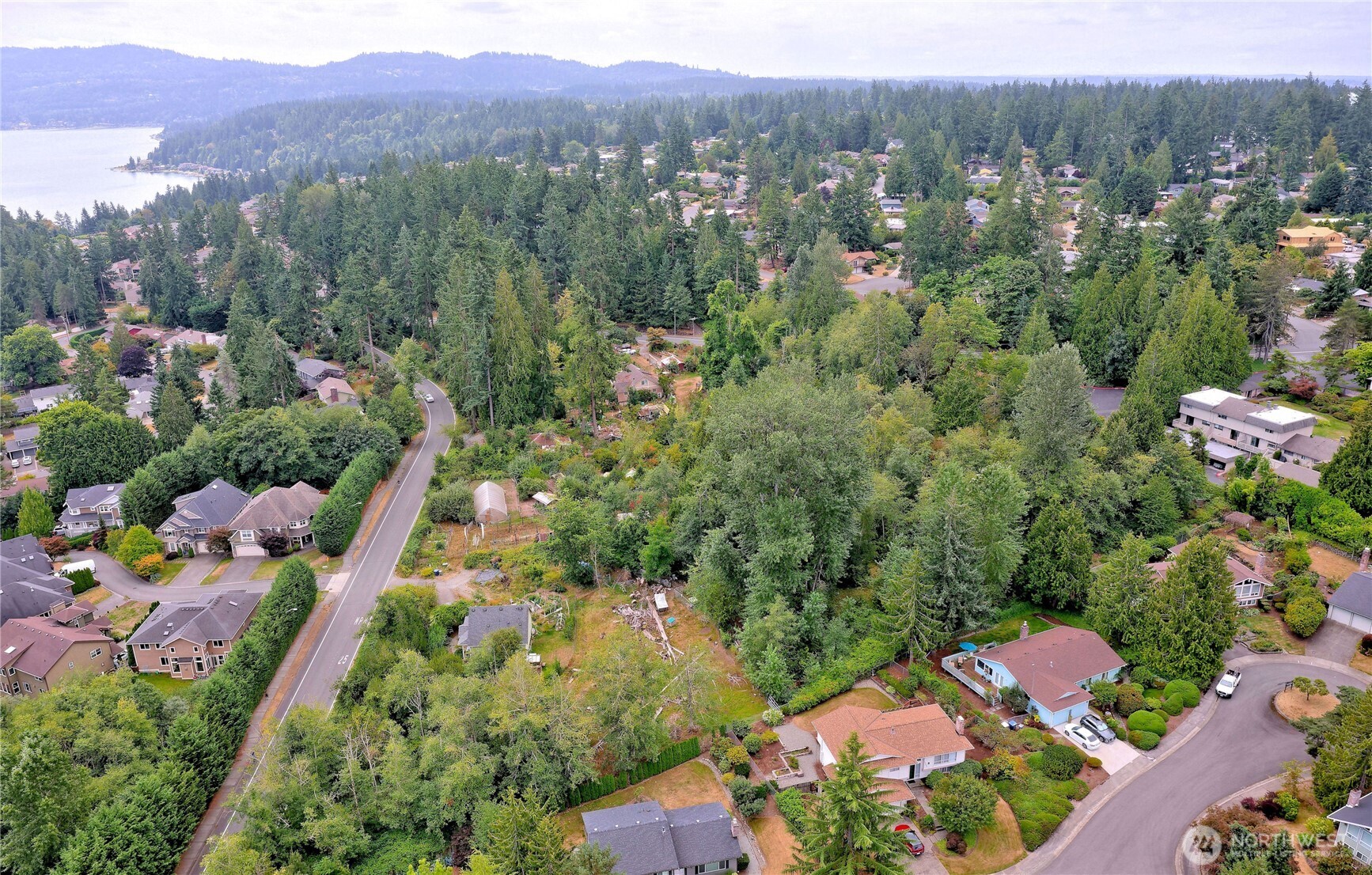 17204 Northup Way Bellevue, WA 98008 - Photo 3 of 30 a view of a city with lush green forest