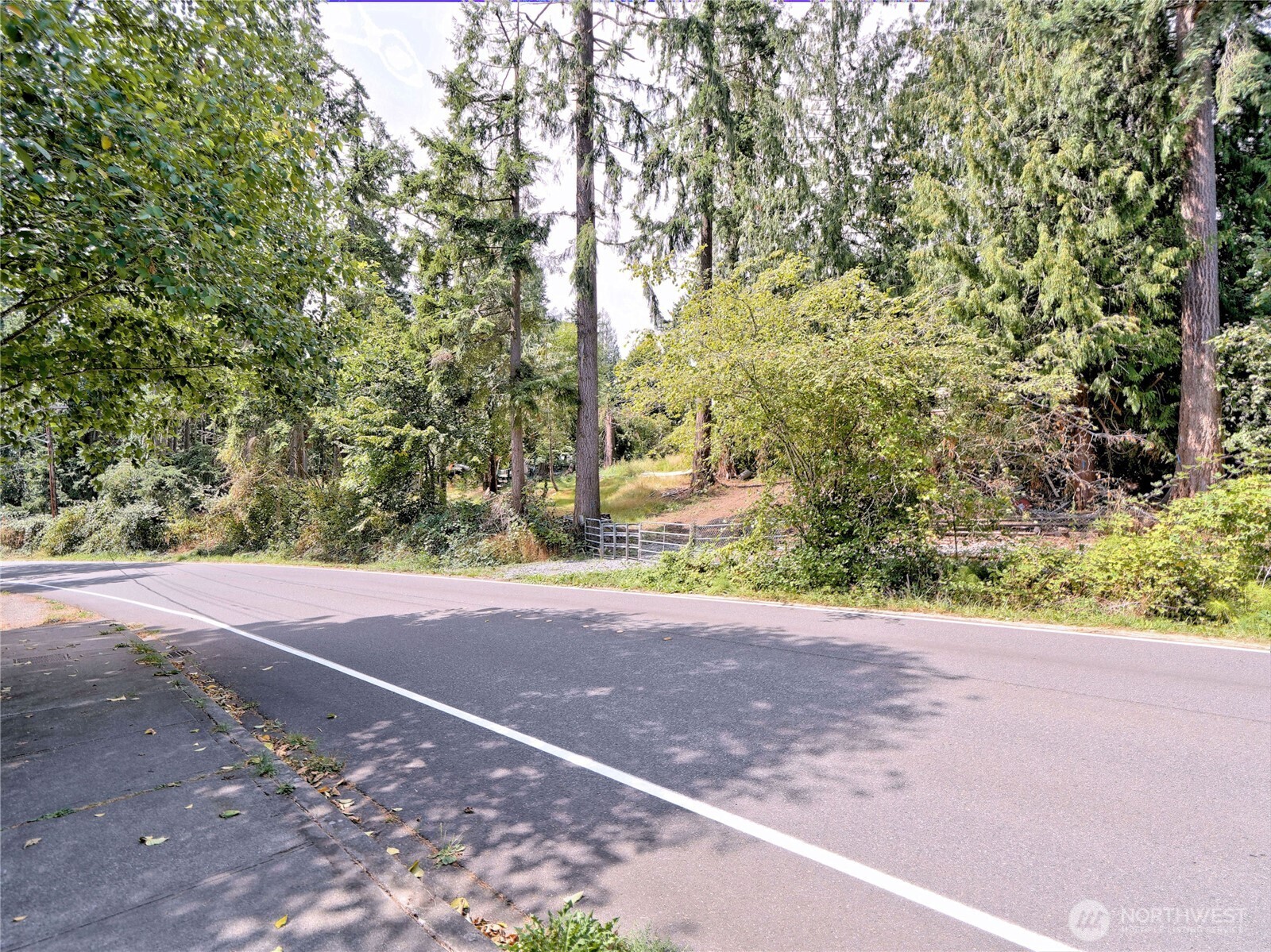 17204 Northup Way Bellevue, WA 98008 - Photo 4 of 30 a view of a yard with plants and trees