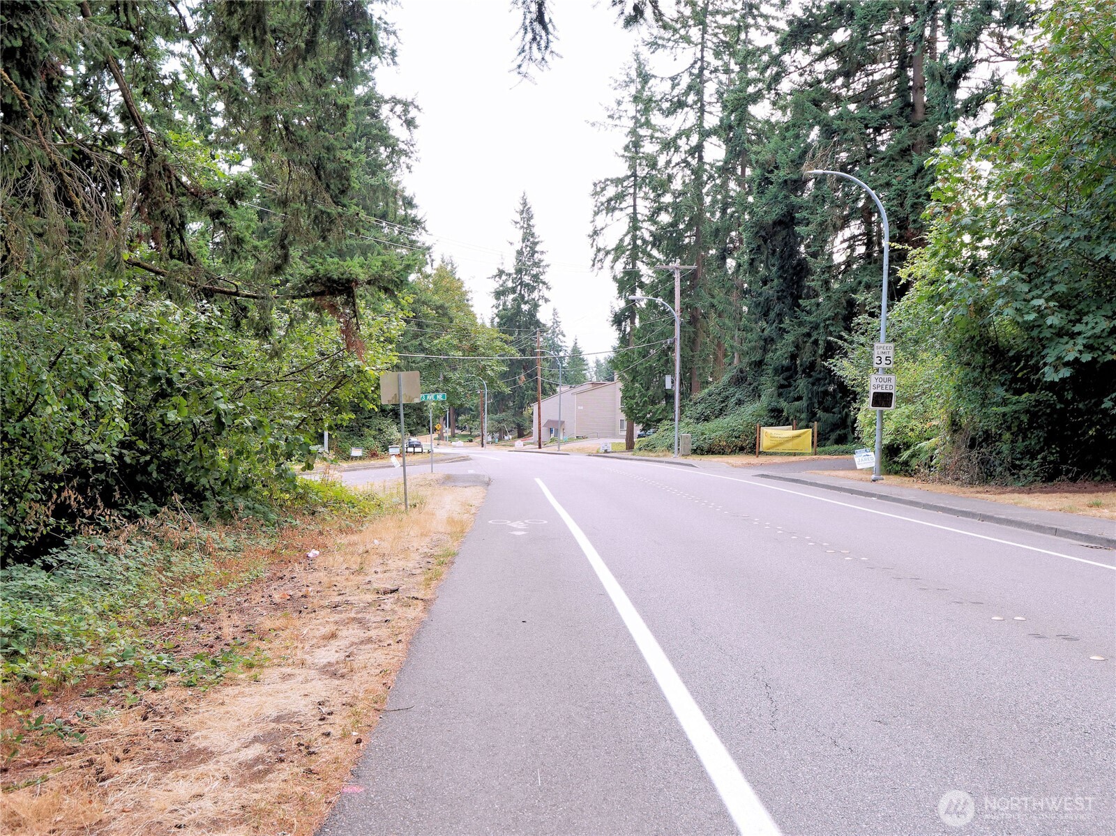 17204 Northup Way Bellevue, WA 98008 - Photo 6 of 30 a view of city street with a trees