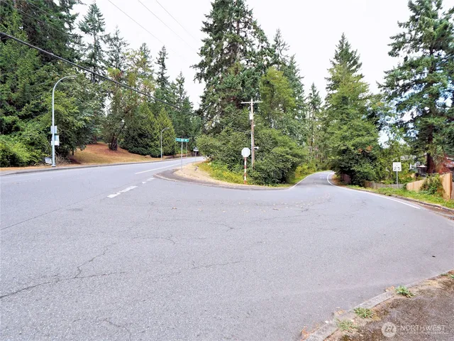 a view of a road with a trees in the background