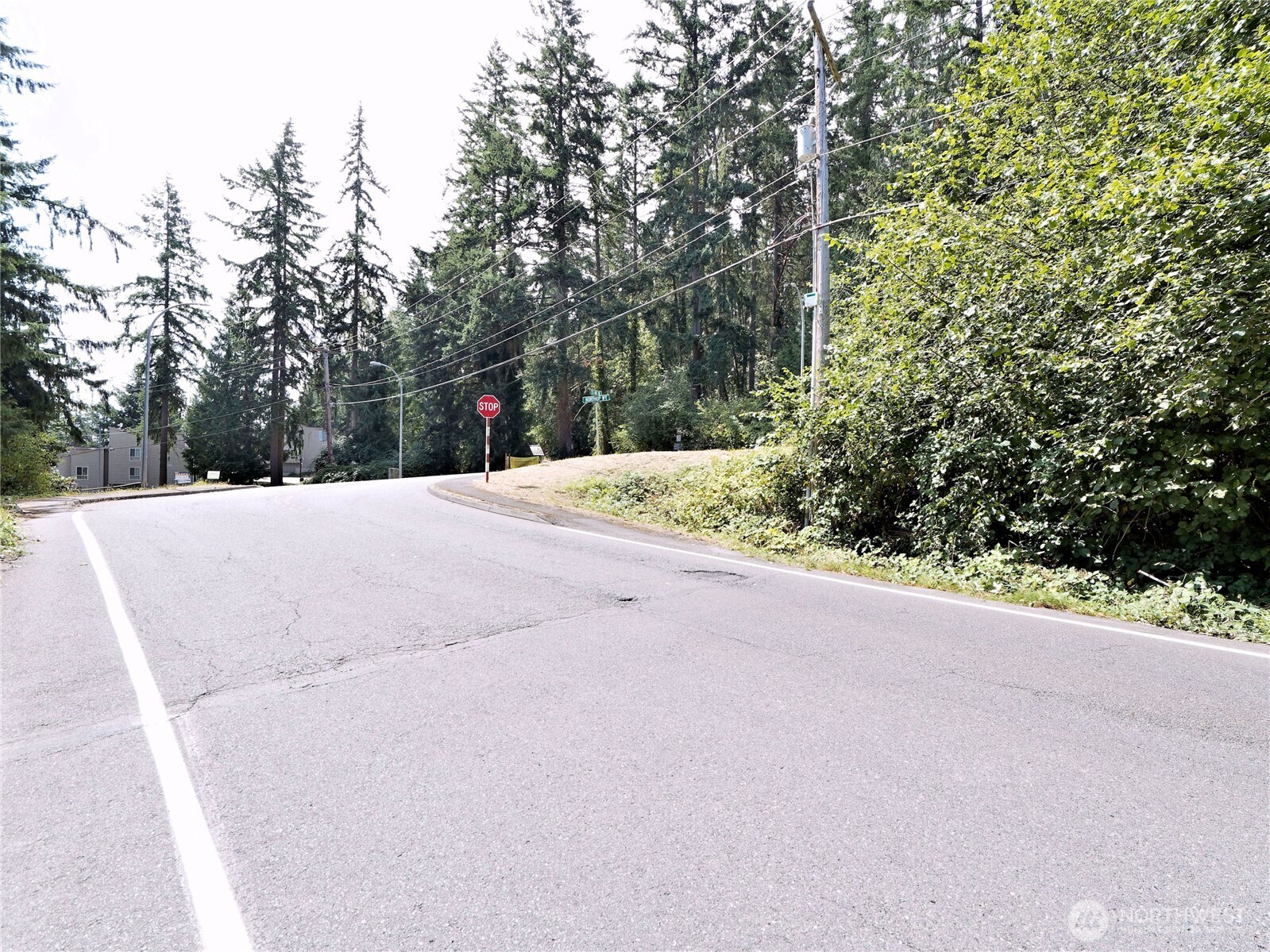 17204 Northup Way Bellevue, WA 98008 - Photo 8 of 30 a view of outdoor space and yard