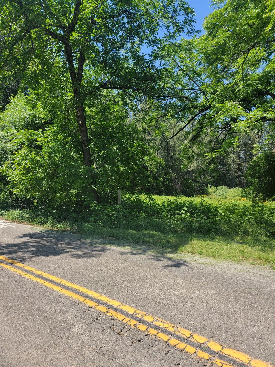 3238 South South Street, CA 95634 Compass