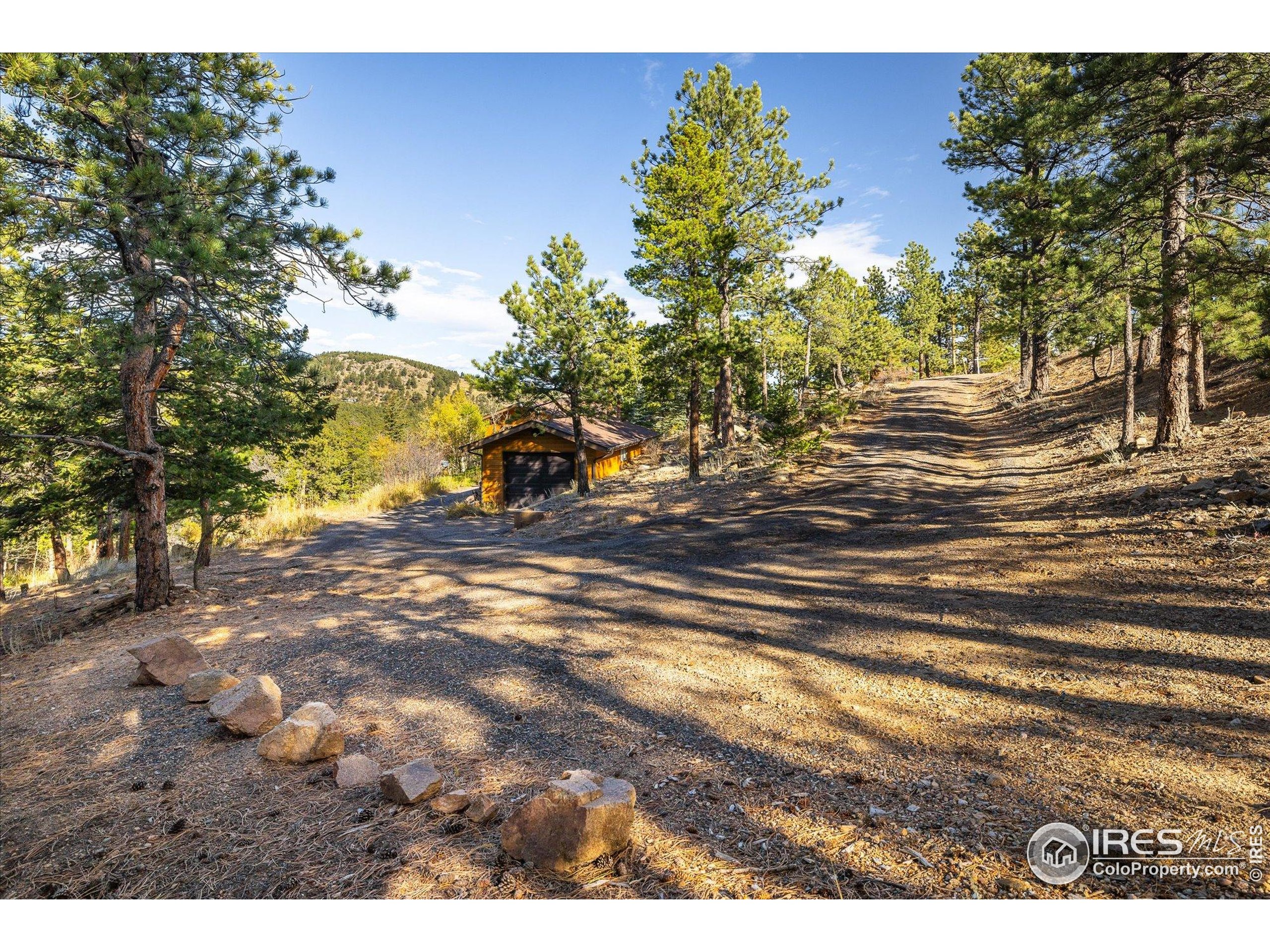 11935 Vonnie Claire Road Golden, CO 80403 - Photo 6 of 42 a view of outdoor space with deck and tree