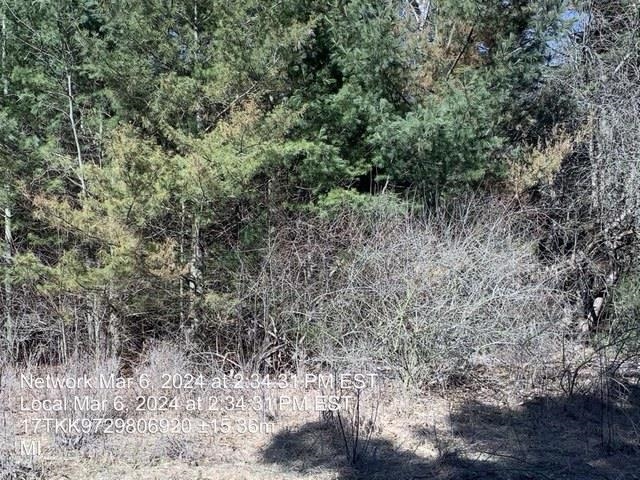 0 East Timreck Road, Unit PARCEL B Tawas City, MI 48763 - Photo 2 of 5