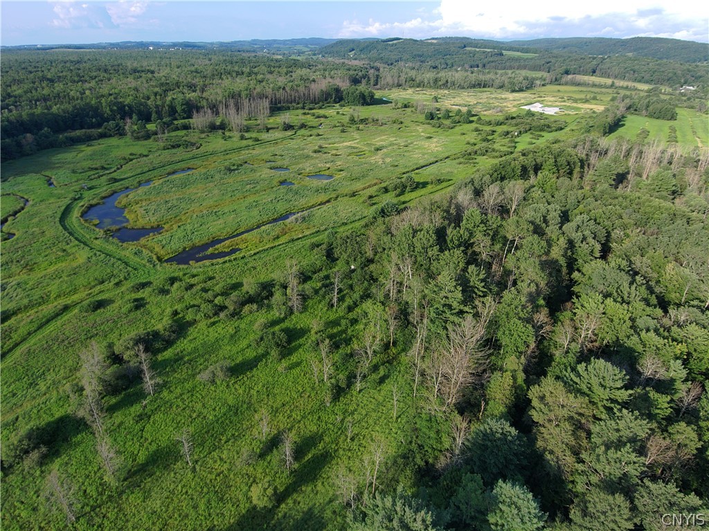Loomis Road Waterville, NY 13480 - Photo 9 of 13