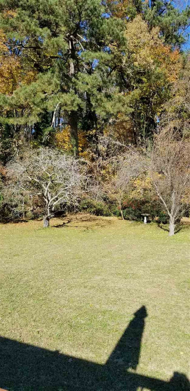 3909 Buffaloe Road Raleigh, NC 27604 - Photo 7 of 11 Photo 7