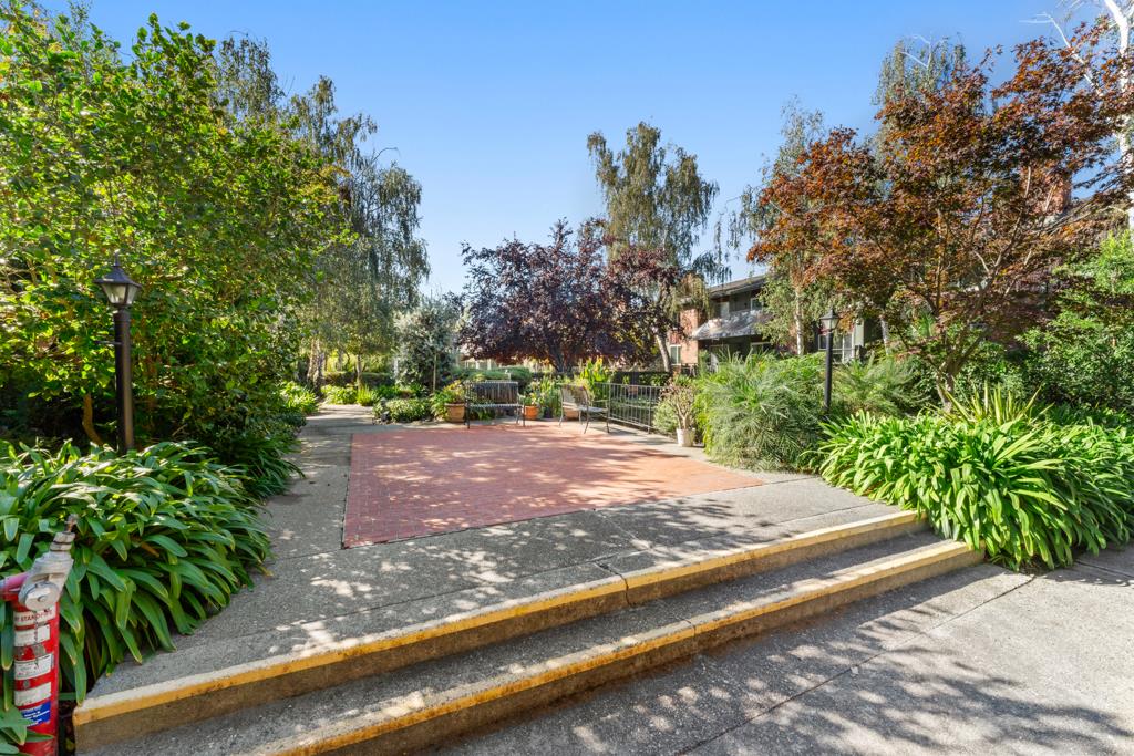 99 East Middlefield Road, Unit 41 Mountain View, CA 94043 - Photo 25 of 37 a view of a yard with plants and trees