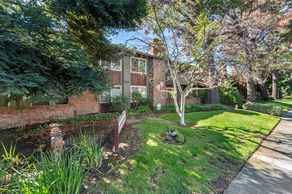 99 East Middlefield Road, Unit 41 Mountain View, CA 94043 - Photo 31 of 37 a view of a yard with plants and trees