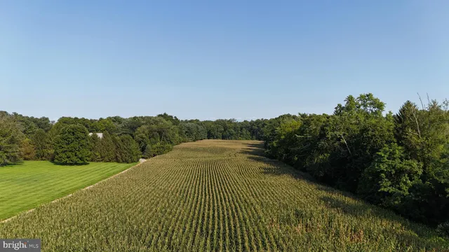 a view of a field with an ocean