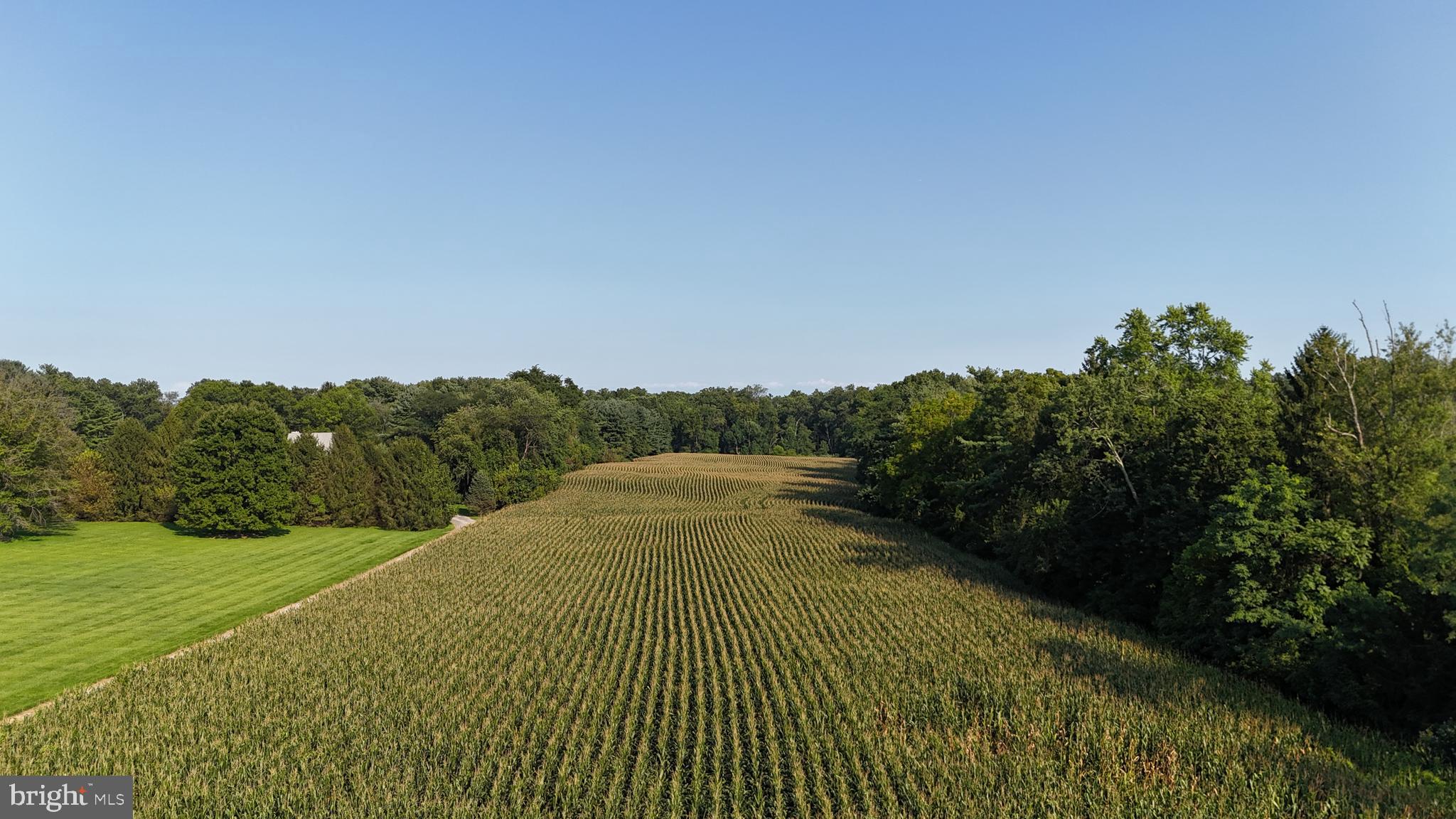 a view of a field with an ocean