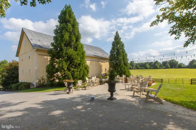 a row of palm trees and a fire hydrant in the middle of a yard
