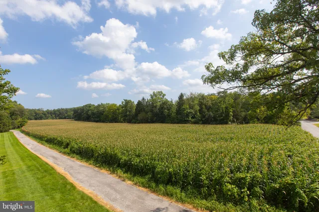 a view of an ocean and a yard