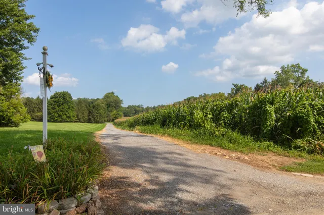 a view of a big yard with lots of green space