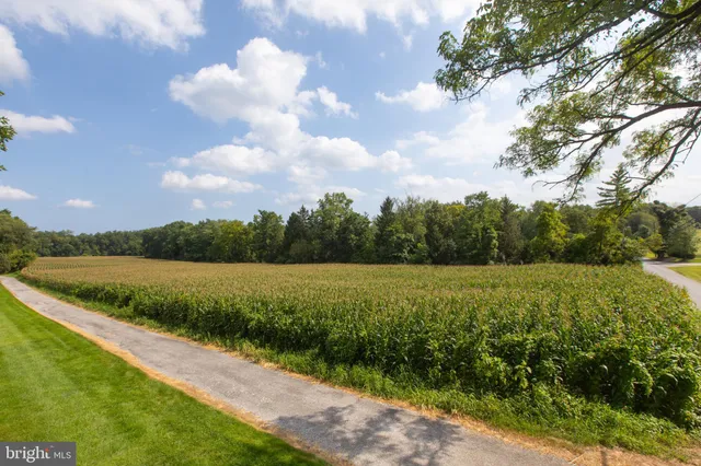 a view of a lake with a big yard