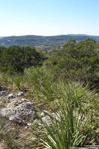 a view of a city with lush green forest