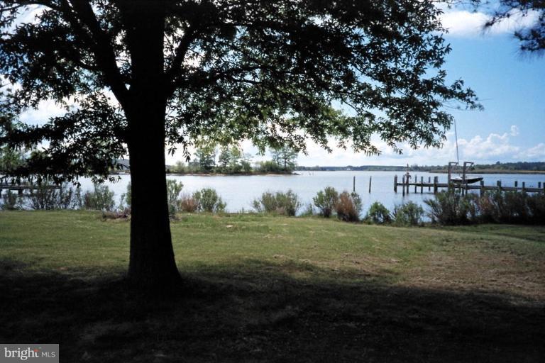 5154 Paw Paw Road Cambridge, MD 21613 - Photo 11 of 24 Fishing Creek from the deck
