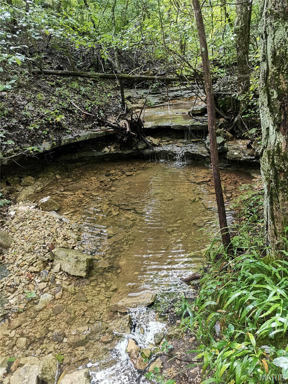 6360 State Rd B Hillsboro, MO 63050 - Photo 2 of 8