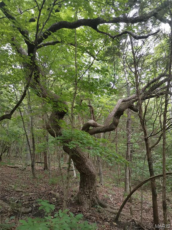 6360 State Rd B Hillsboro, MO 63050 - Photo 3 of 8