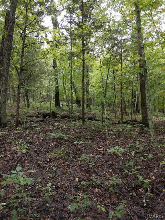 6360 State Rd B Hillsboro, MO 63050 - Photo 4 of 8