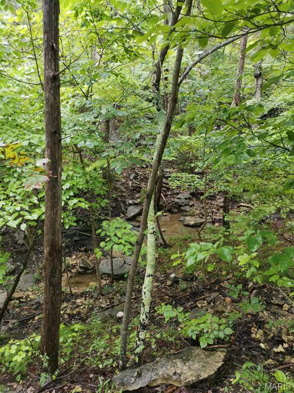 6360 State Rd B Hillsboro, MO 63050 - Photo 5 of 8