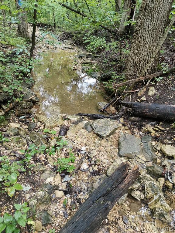 6360 State Rd B Hillsboro, MO 63050 - Photo 6 of 8