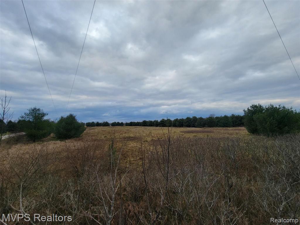 0 Bricker Road Avoca, MI 48006 - Photo 4 of 6