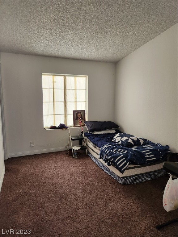 2715 Shawnee Street Sandy Valley, NV 89019 - Photo 23 of 25