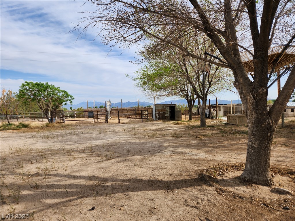 2715 Shawnee Street Sandy Valley, NV 89019 - Photo 3 of 25