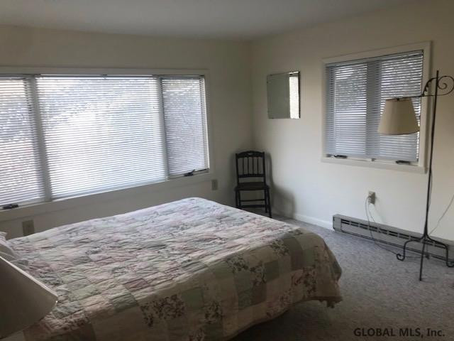 191 Novak Road Kinderhook, NY 12184 - Photo 18 of 29 Photo 18