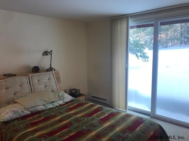 191 Novak Road Kinderhook, NY 12184 - Photo 19 of 29 Photo 19