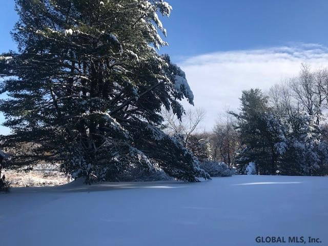 191 Novak Road Kinderhook, NY 12184 - Photo 24 of 29 Photo 24