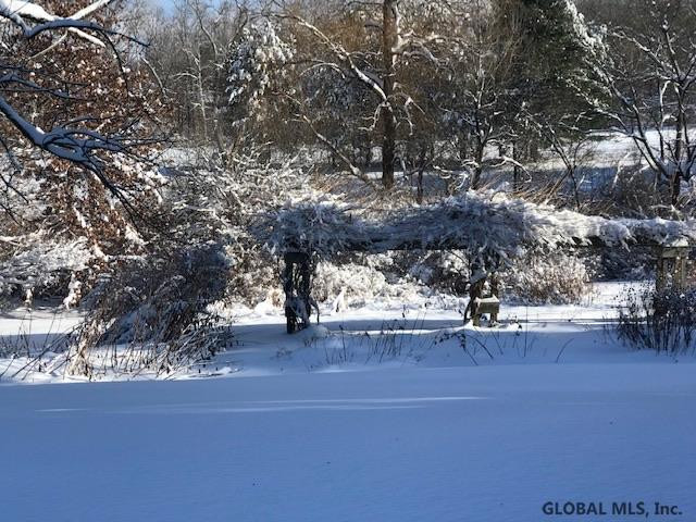 191 Novak Road Kinderhook, NY 12184 - Photo 26 of 29 Photo 26
