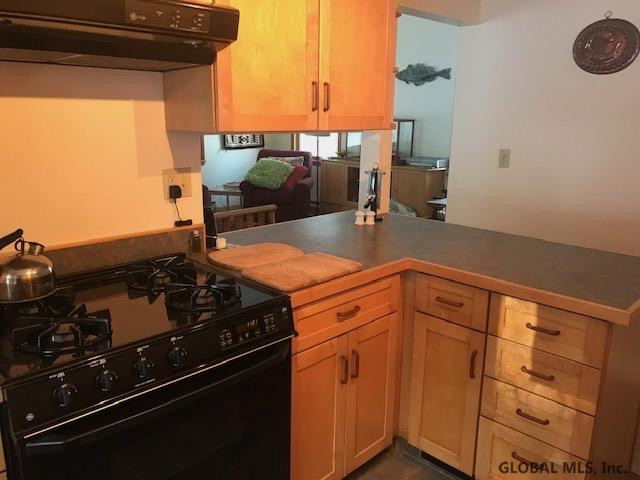191 Novak Road Kinderhook, NY 12184 - Photo 3 of 29 Photo 3
