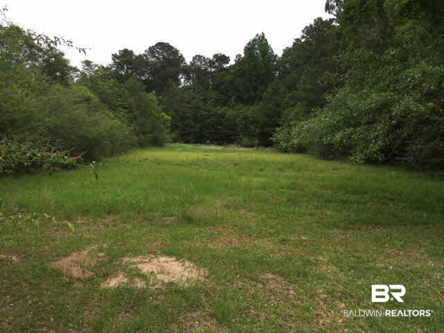 41280 Highway 225 Bay Minette, AL 36507 - Photo 14 of 16 Backyard