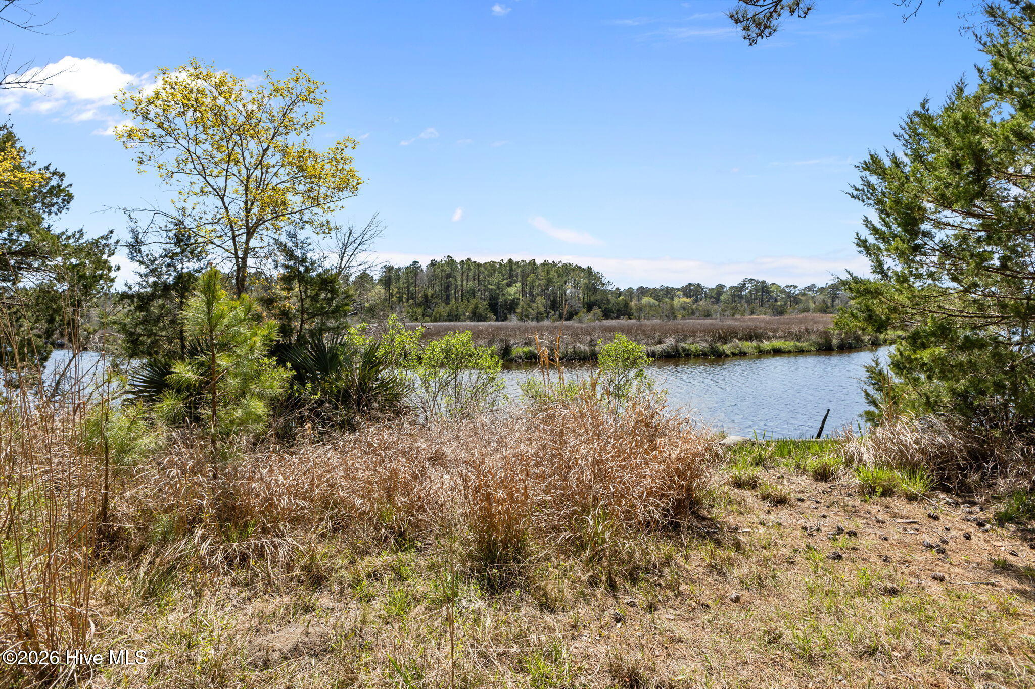 4160 Freedom Way Hubert, NC 28539 - Photo 5 of 27 5-web-or-mls-1S3A5211