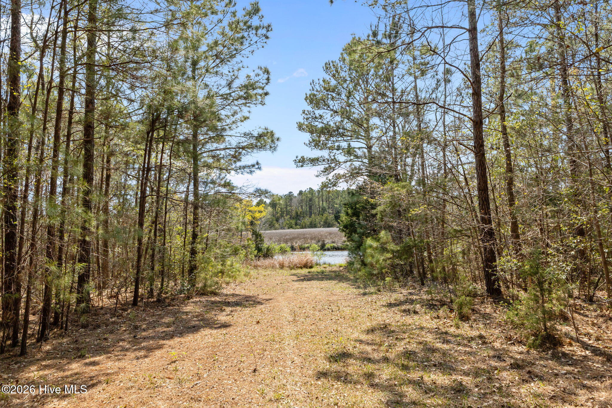4160 Freedom Way Hubert, NC 28539 - Photo 6 of 27 6-web-or-mls-1S3A5216