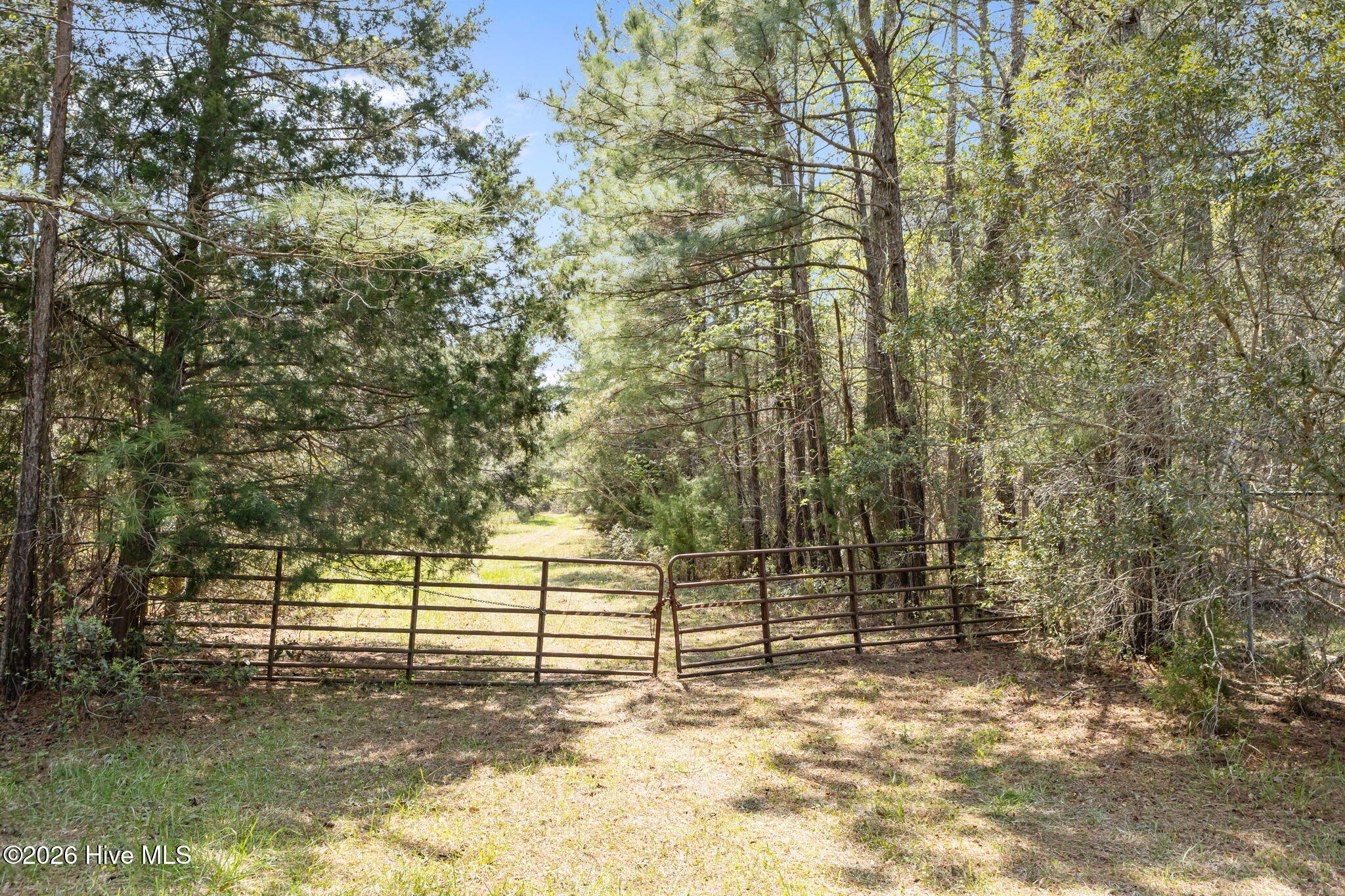 4160 Freedom Way Hubert, NC 28539 - Photo 8 of 27 8-web-or-mls-1S3A5220