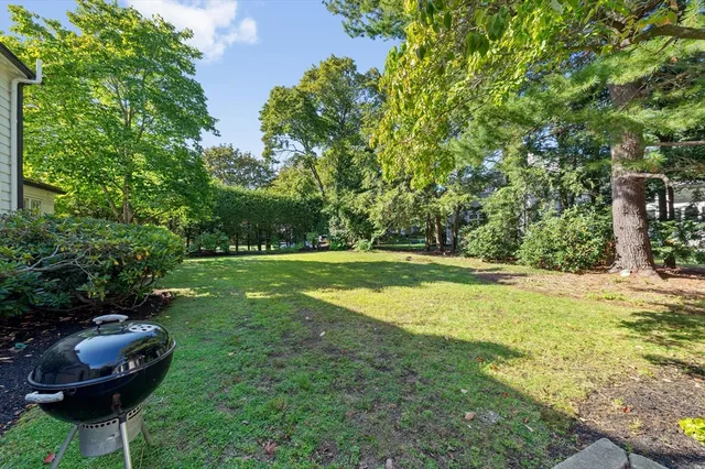 a view of a garden area
