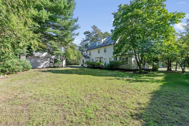 a view of a backyard with large trees