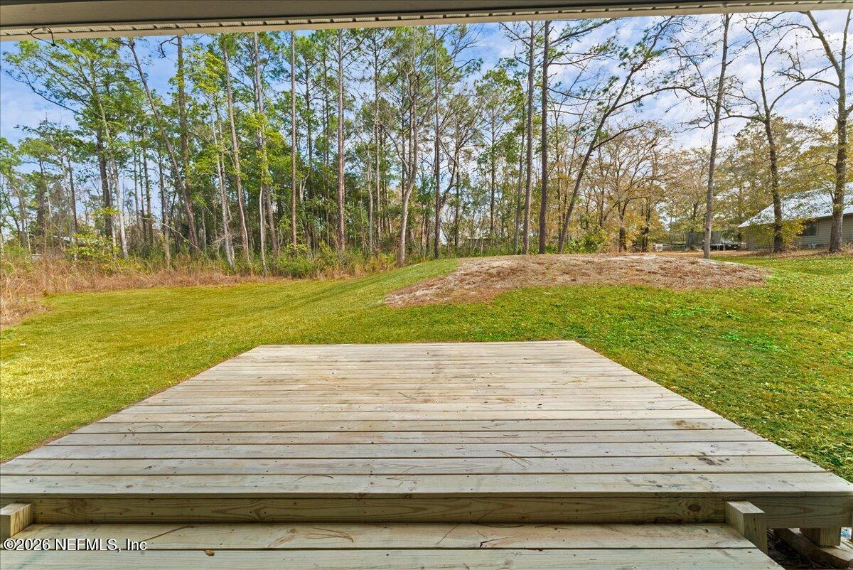 2383 Daisy Street Middleburg, FL 32068 - Photo 26 of 33 a view of a yard with an trees