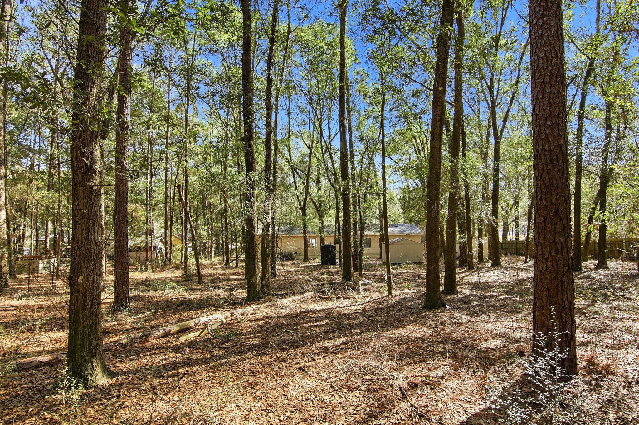 6108 Old River Road Baker, FL 32531 - Photo 37 of 40 a view of outdoor space with street view