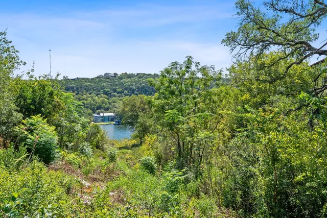 a view of a city with mountains in the background